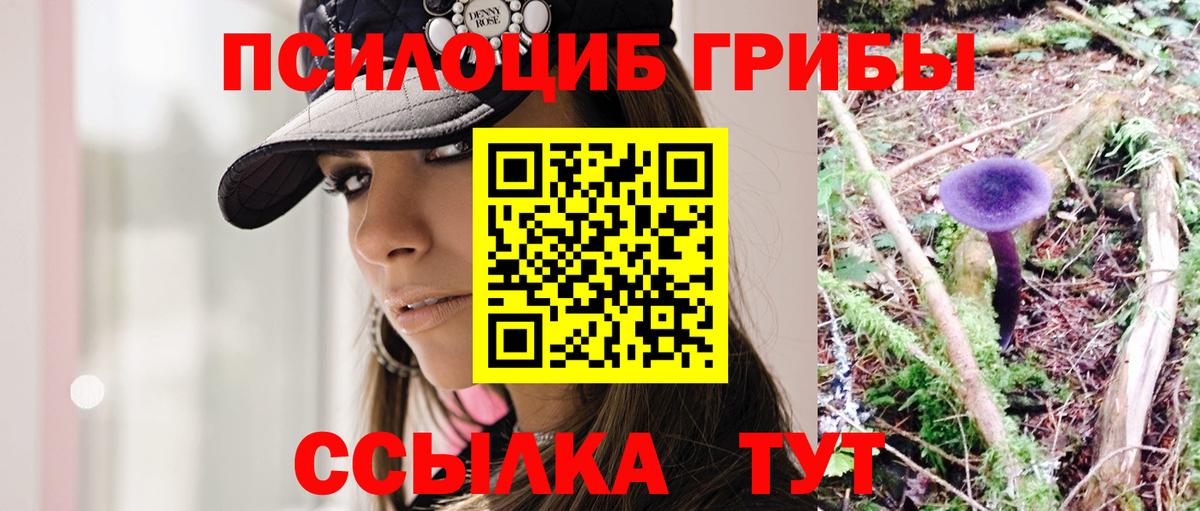 Псилоцибиновые грибы GOLDEN TEACHER Баксан
